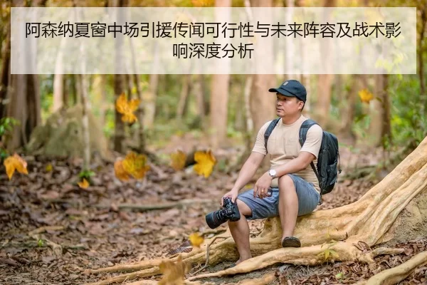阿森纳夏窗中场引援传闻可行性与未来阵容及战术影响深度分析