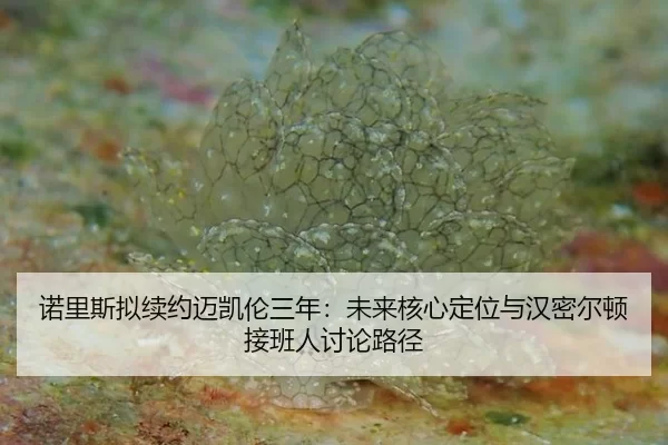 诺里斯拟续约迈凯伦三年：未来核心定位与汉密尔顿接班人讨论路径