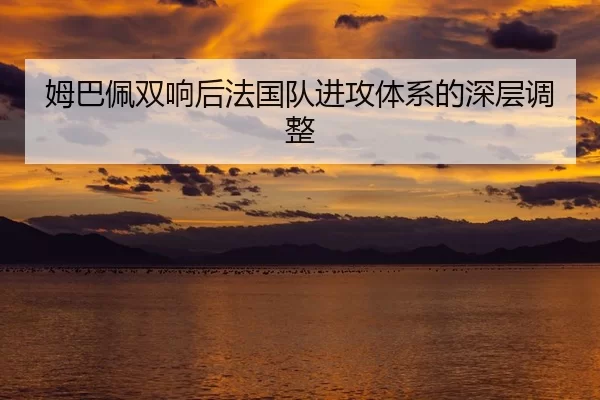 mu-ba-pei-shuang-xiang-hou-fa-guo-dui-jin-gong-ti-xi-de-shen-ceng-tiao-zheng-2-122.jpg