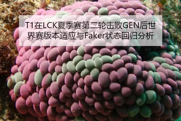 T1在LCK夏季赛第二轮击败GEN后世界赛版本适应与Faker状态回归分析